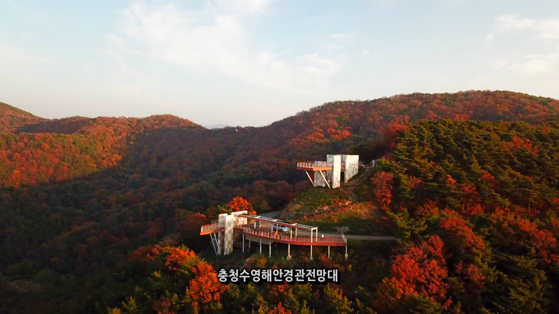 입선: 삶의 여유에 보령을 더하다